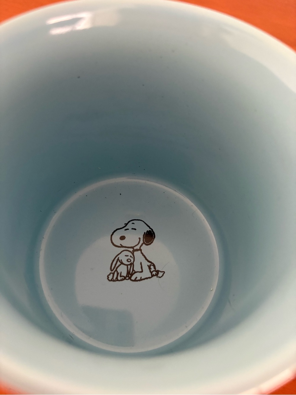 Peanuts, Snoopy & Bunny Mug, Light Blue Interior with Adorable Graphics